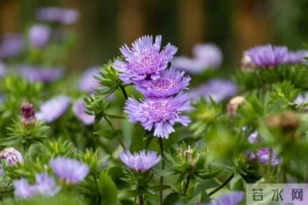 “不需要对方好看”:生理性喜欢的魔力有多可怕!