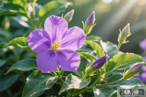 人这辈子，有三件事真的不能拿来炫耀，否则迟早要栽跟头