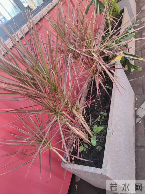 人这辈子，心宽一寸，事淡一分，心安一生，日子自有温柔相伴