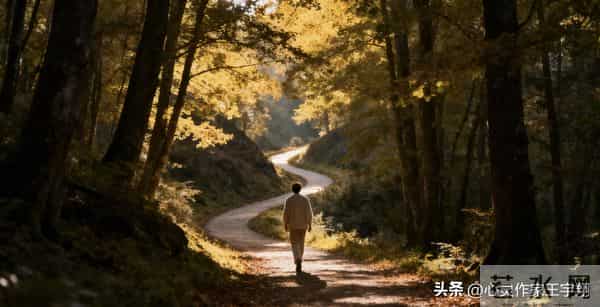 心向暖阳,步履不停:你的态度决定人生高度