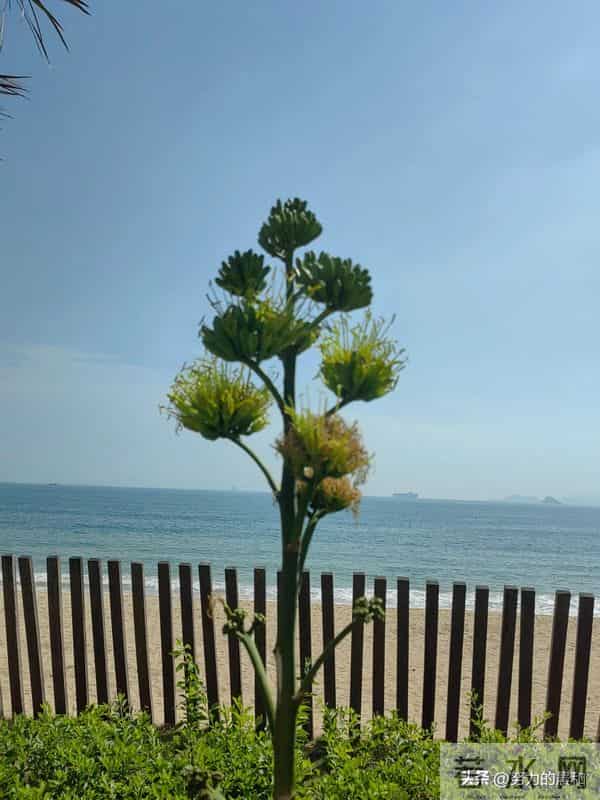 我陪女儿抗抑郁走过的日子(十)