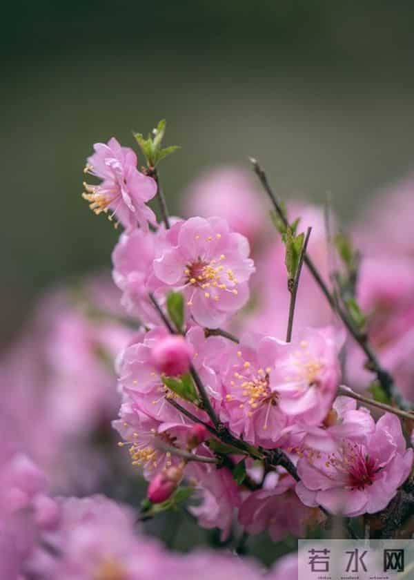 男女关系铁律:“对方不爱你的原因,只有这一个”