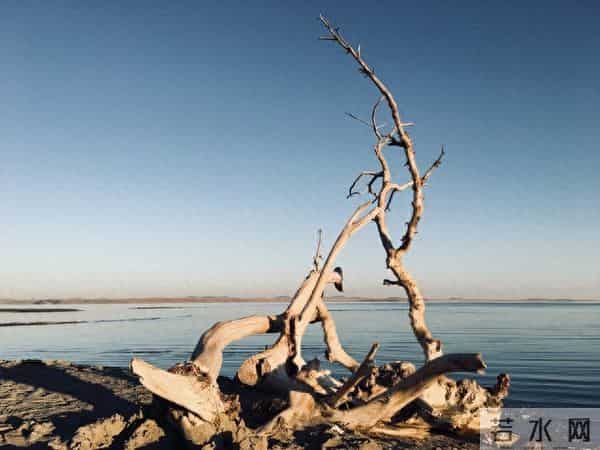 人老了才懂:儿女不孝从不是突然的,都是早年埋下的因果