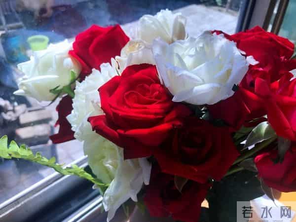 护着你，宠着你，把你宠成我一生的宝贝