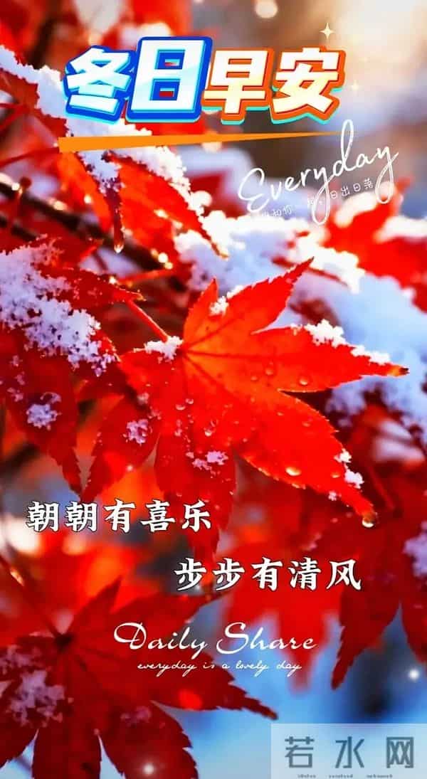 11月27日早上好 早上好清新淡雅图片 早上好图片最新今天 每日问候