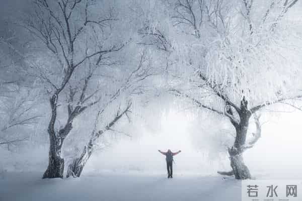 七十岁老头写的精短散文:《雪花》