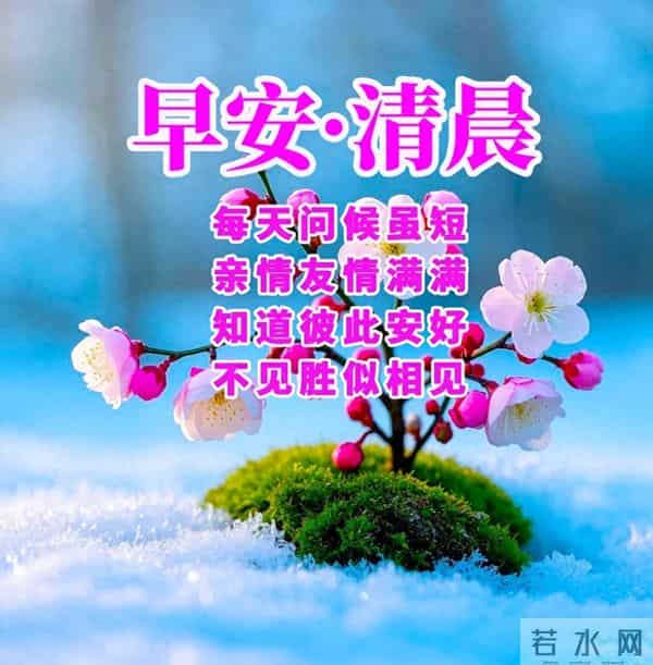 在晨曦中，我们怀揣着情谊与期许，迎接新的一天。早安！