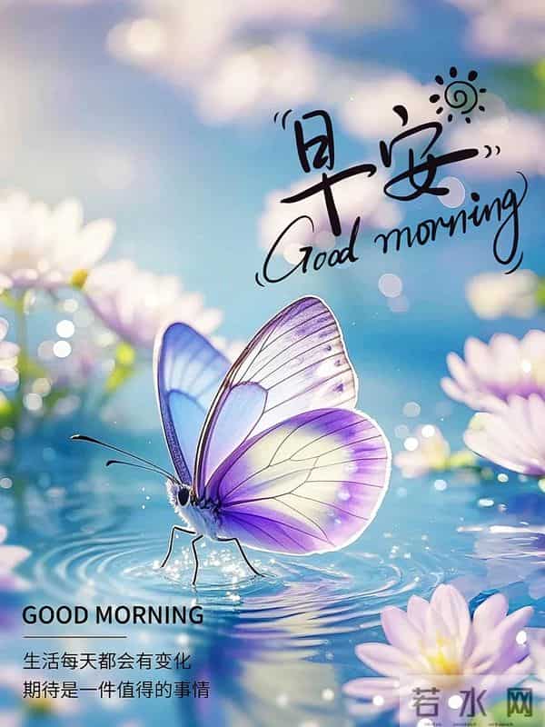 「冬日暖阳」11月27日早上好！初冬的早晨祝福问候语，早安图片