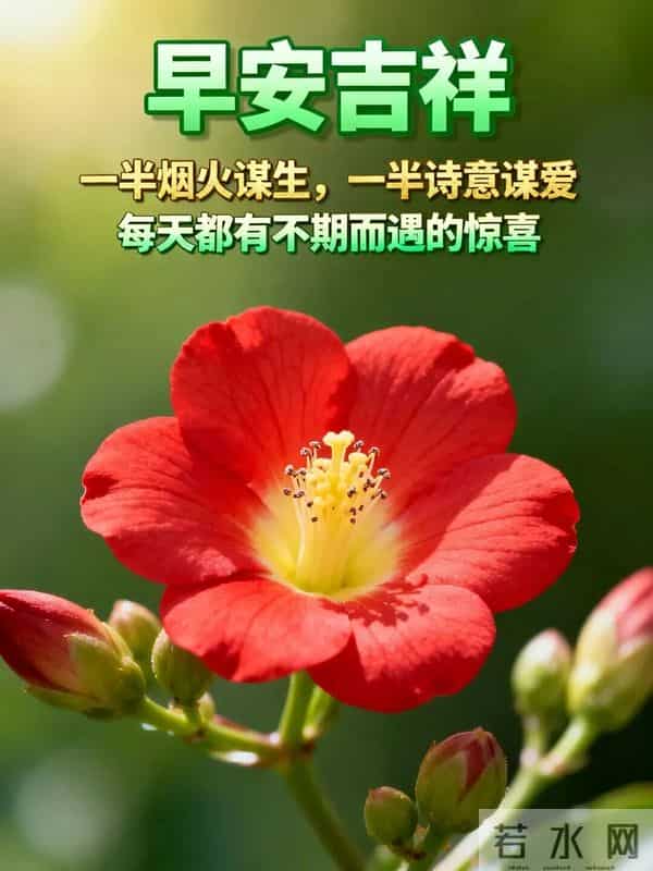 2025年11月27日早上好 周四愉快温馨祝福 早安最新精美图片 早上好