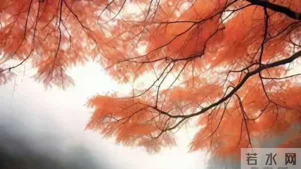 爱到入骨的情书，想你不分昼夜不褪色。