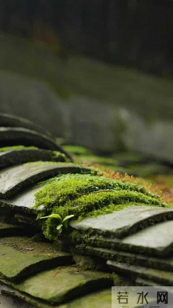 格局越大，福气越深