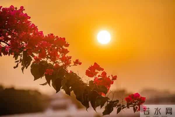 一辈子都写不出的金句，我为你整理了32句