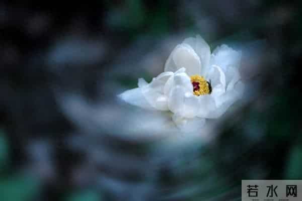 人活着总要洒脱一些,别总是陷在无用的内耗里