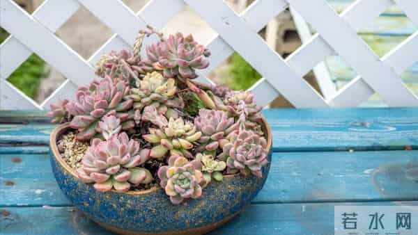 70岁阿姨面对老伴病危,来不及征求外地儿子意见,就果断做出决定