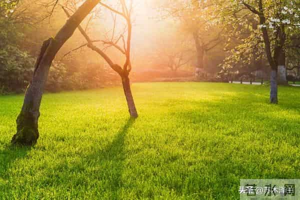 别以为善良是软弱,厚道人不计较,但老天从不偏袒任何人!