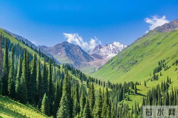 属虎人千万不要帮这两种人,恩将仇报还伤感情!