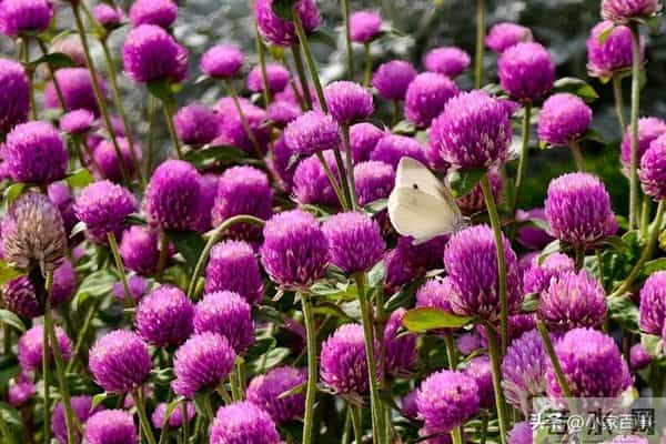 如果有一天你有钱了，记住这十件事，守住财运