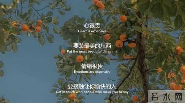 这段话也太治愈了没有谁配不上谁, 两块钱的盐可以配上万的菜