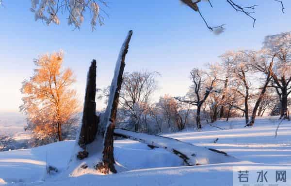 妹妹让我凌晨4点送她去机场老公却拽住我：别去，她刚发了动态！