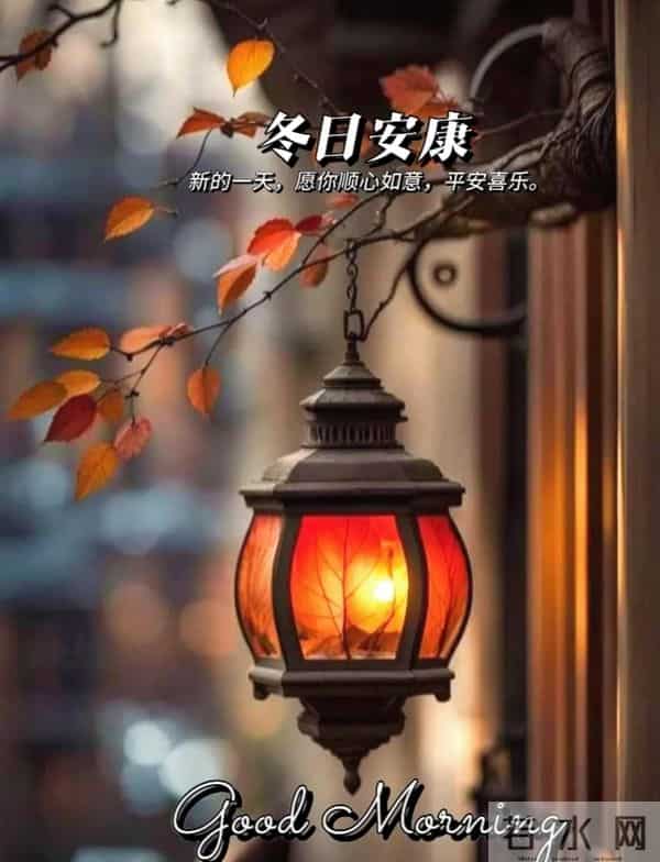 11月27日早上好 早上好清新淡雅图片 早安问候图片最新今天