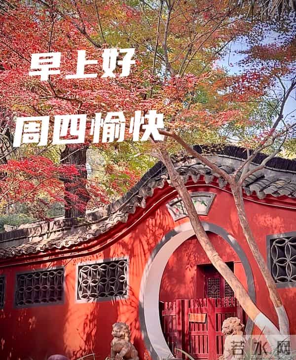 2025年11月27日早上好 早上好温馨问候祝福语 早安精美图片 周四愉快