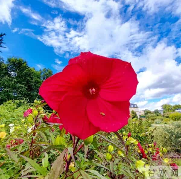 你走进我心里,夺走了我一辈子的相思