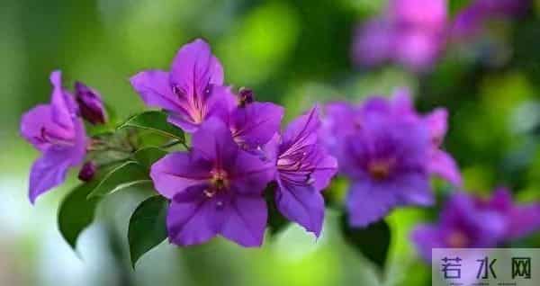 善良有温度，聪明有力量：人生最美的活法，就是暖人亦悦己