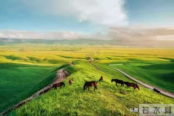 作为一名玄学研究者,奉劝你一个真相。你真的不用焦虑,你牵挂的