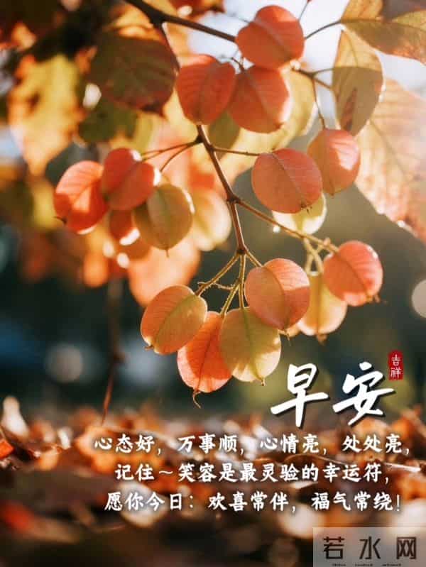 知恩于心,感念于行,常怀感恩,以心汇暖,让感恩铺满初冬的晨光