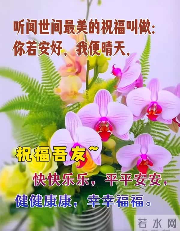 2025年11月27日早上好 早安精美图片 温馨祝福 周四愉快 今日好心情