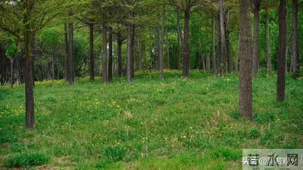 男人触碰女人这个地方,比亲吻拥抱还让她心动,50岁后越碰越恩爱