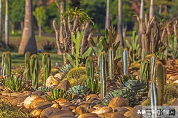天降好运接连不断，泼天富贵降临身边，你真的准备好迎接了吗？
