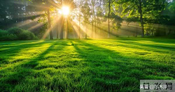 别以为善良是软弱,厚道人不计较,但老天从不偏袒任何人!