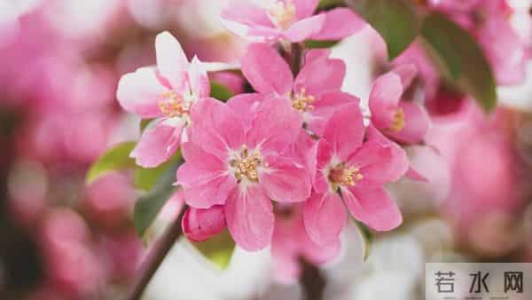 处女座近期感情&财运播报:钱来敲门,烂桃花快溜!
