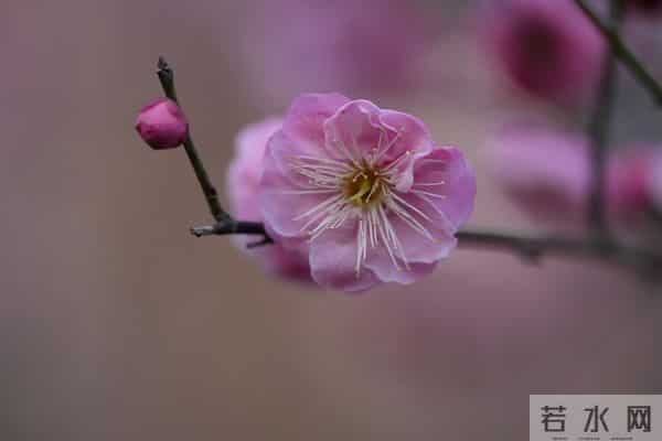 不爱麻烦人,又狠不下心拒绝的人,往往逃不开这三种人生