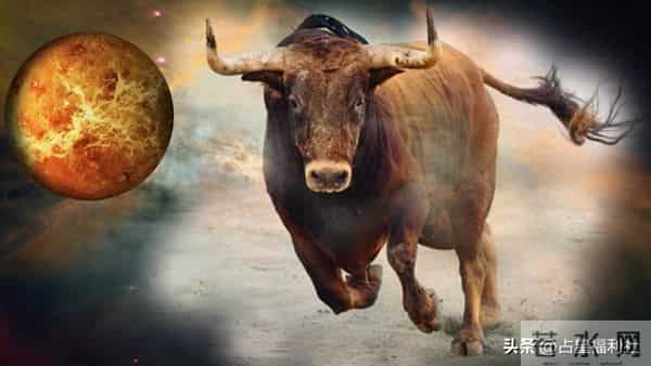 11月27日金牛座运势