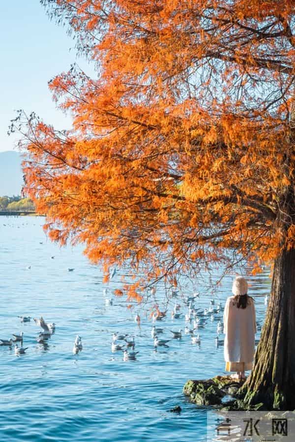 渐渐老去的70后，最无奈的，不是穷，而是家庭出现这五种情况