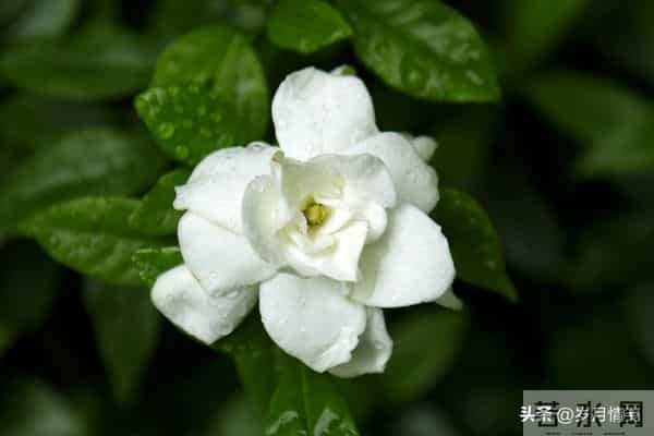 婚姻中，即便对方再优秀、再帅气，都不如找个对你依赖较少的配偶