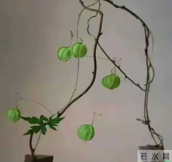 两性关系，多数女人60岁后，都会出现这3种情况，但她们从不说！