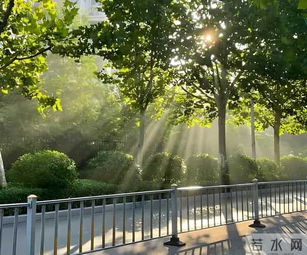 见解：幸福像阳光一样无处不在