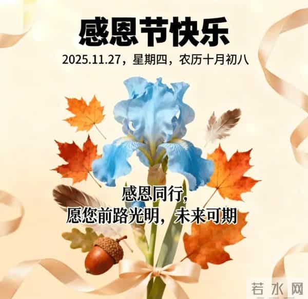 2025感恩节祝福图片 感恩节暖心文案 只想对你说一句 感恩有你 早上好