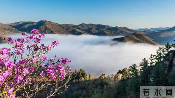 五项技能,不仅藏技于身,更是让自己人生开挂