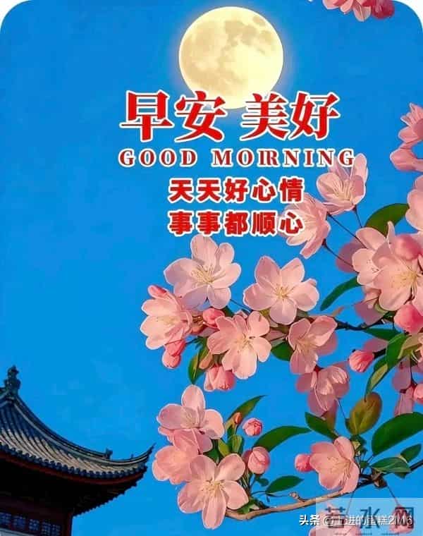 早安!新的一天,阳光灿烂,愿你一生平安,幸福快乐永远追随!