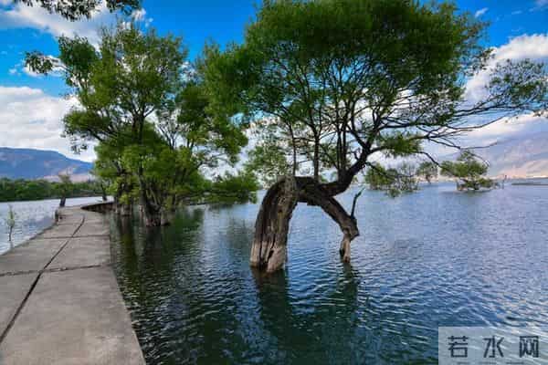 人老了才懂:儿女不孝从不是突然的,都是早年埋下的因果