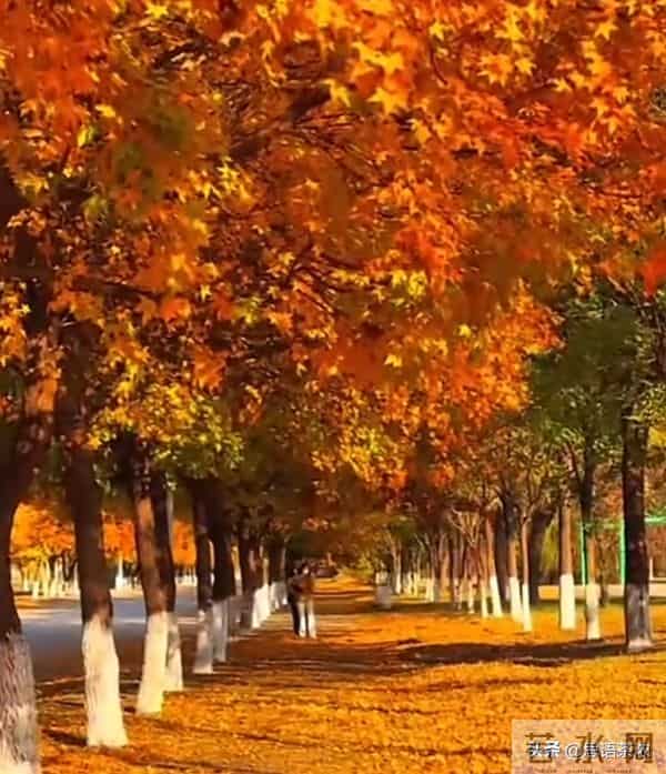 情感：人到70岁80岁，如果还想活20一30年，必须记住这5句话