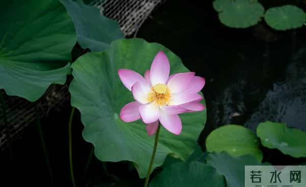 一段婚外情，留给男人的和女人的3个不同结局。