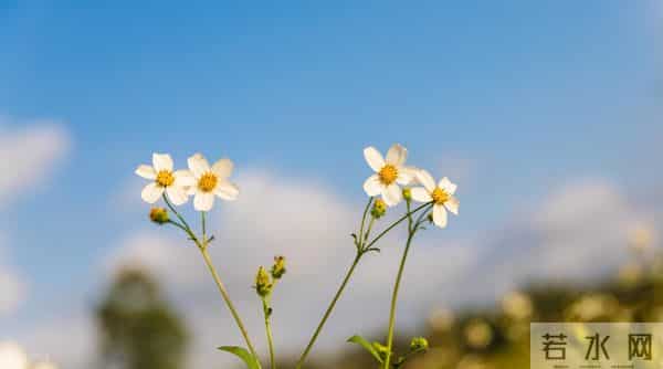 男人如此对你“装傻”，是心里没你的证据