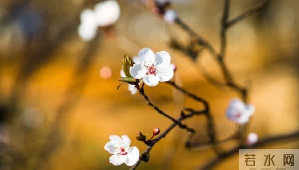 “一辈子都写不出的神仙句子,我帮你整理了28句,喜欢自取”