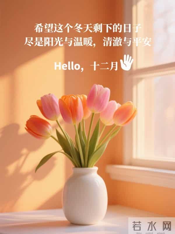 十一月再见,十二月你好!新的一月,愿你好运连连,万事顺遂