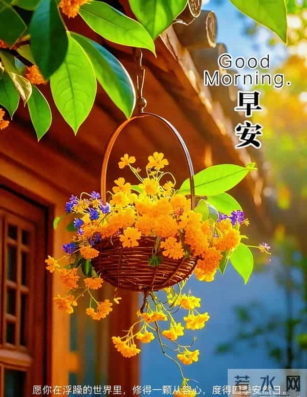 早安心语 从今天起，用微笑传递温暖吧！